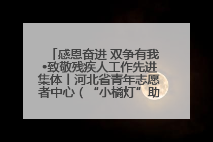 感恩奋进 双争有我•致敬残疾人工作先进集体丨河北省青年志愿者中心（“小橘灯”助残接力计划实施团队）：用温暖陪伴，守护特殊孩子成长